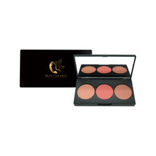 Load image into Gallery viewer, Pro Cheek Palette - Carnation
